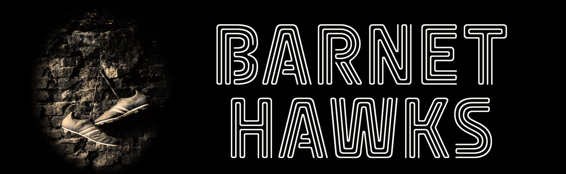Ariel Theatre Company Presents: Barnet Hawks